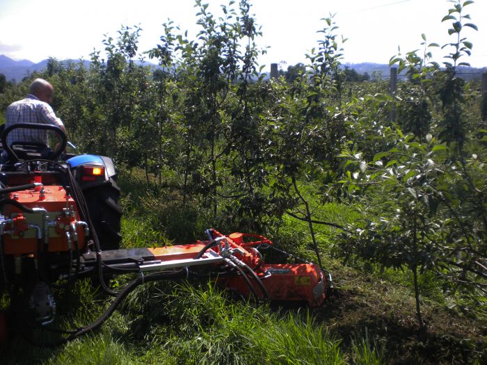 Rinieri Velox